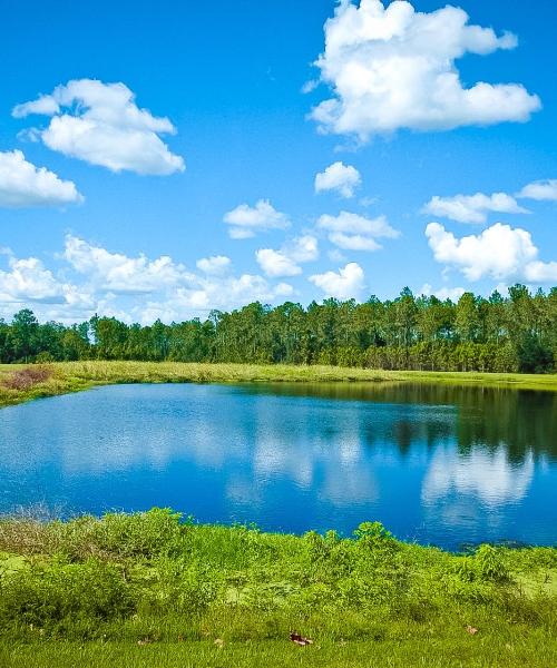 Čudovit pogled na mesto Wesley Chapel