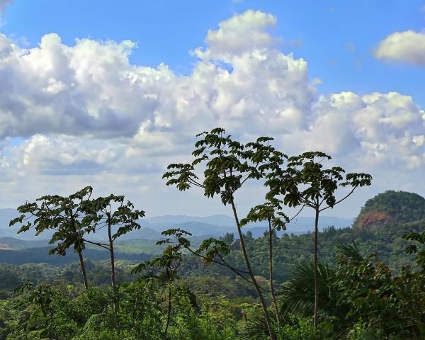 Uma bela vista de: Valle de Anton