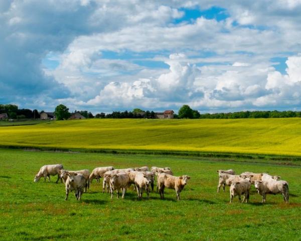 Vue imprenable sur Le Creusot 