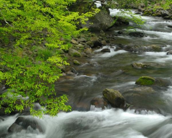 Unes vistes boniques de Alto Paraiso de Goias