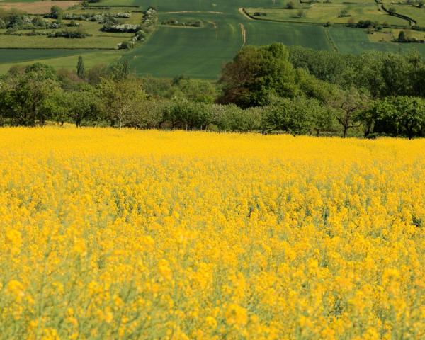 Vue imprenable sur Montceau 