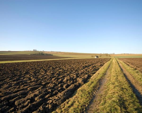 Een mooi uitzicht van Perl