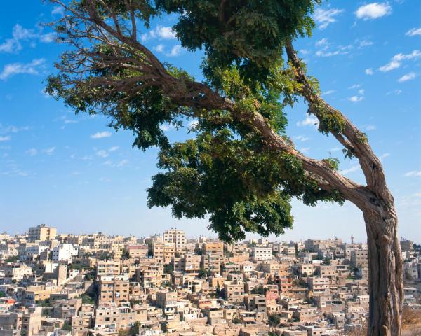 A beautiful view of Amman.