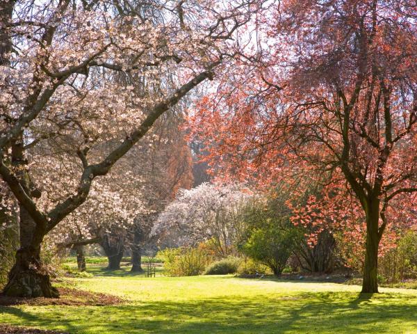 Kaunis näkymä kaupungista Christchurch