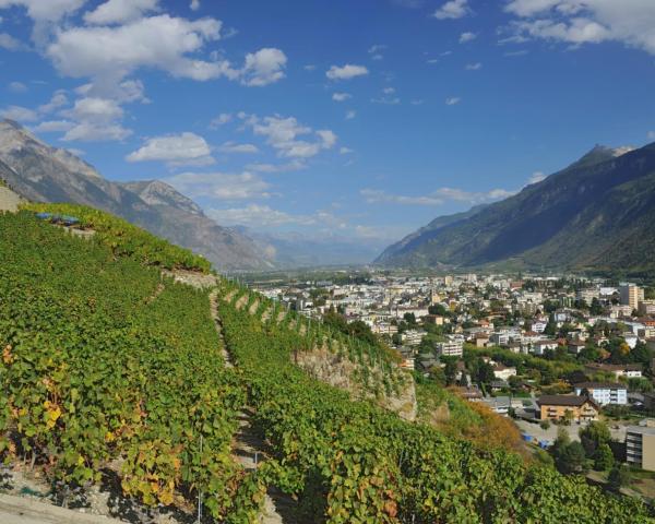 Unes vistes boniques de Martigny