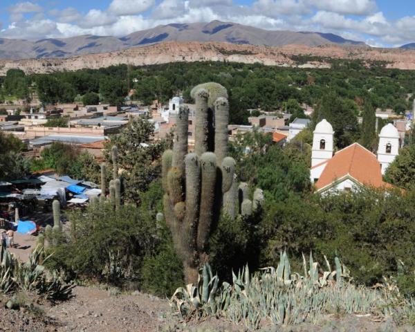 La Quiaca: skaista ainava