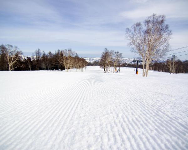 Krásny pohľad na mesto Nosawa