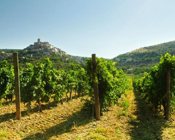 Una bellissima vista di Tortoreto