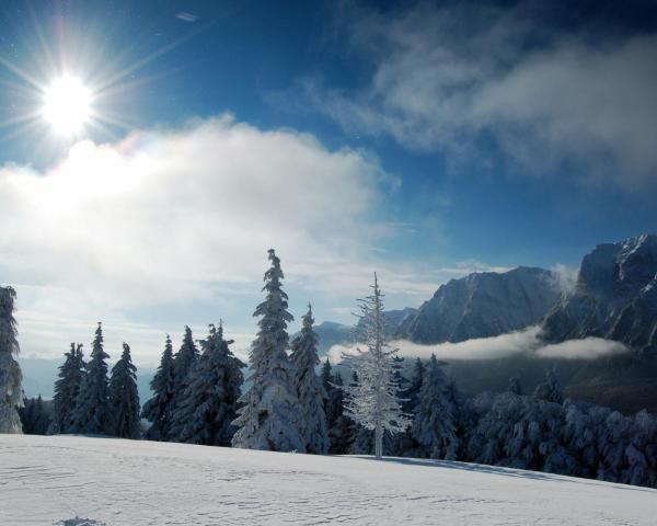 Čudovit pogled na mesto Moieciu de Sus