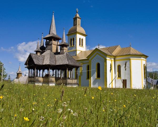 Гарний краєвид міста Moisei