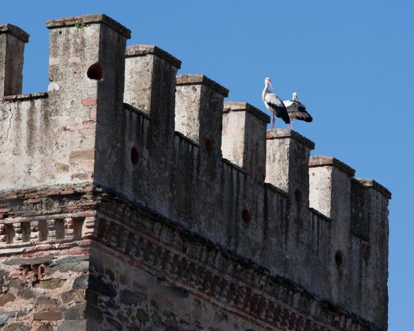 Predivan pogled na grad 'Zafra' 