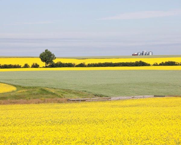 Vue imprenable sur Red Deer 