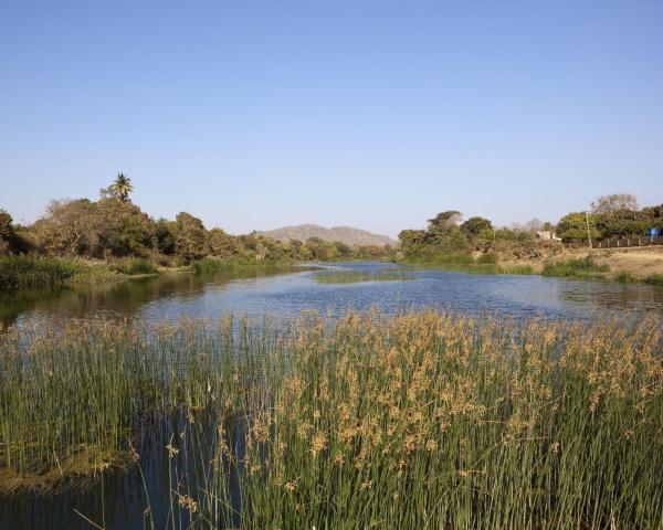 Sasan Gir का सुंदर नज़ारा