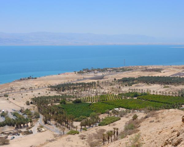 Una bonita vista de Ein Gedi