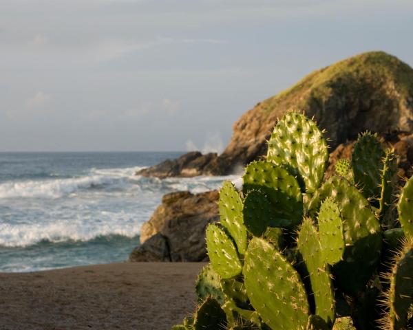 Гарний краєвид міста Zipolite