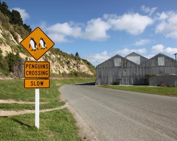 En smuk udsigt over Oamaru