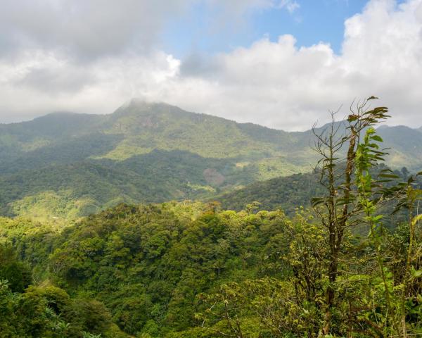 Uma bela vista de: Carretera