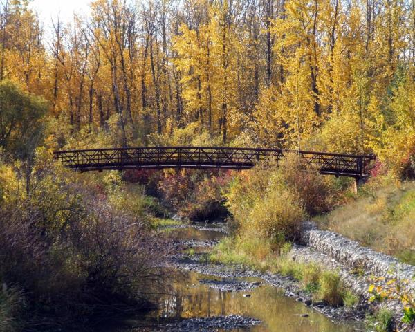 A beautiful view of Grande Prairie.