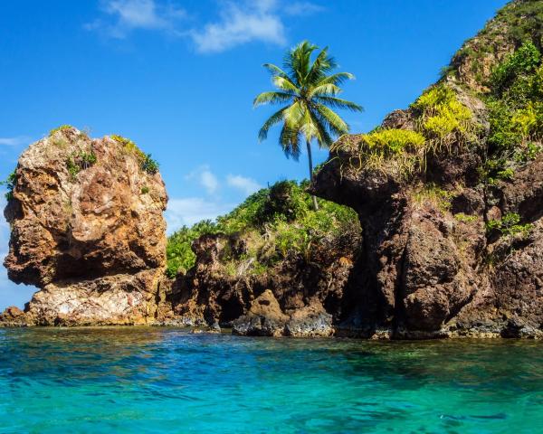 Vue imprenable sur Santa Catalina Island 