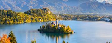 Flights from Turkey to Slovenia