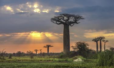 Vuelos de Reunión a Madagascar