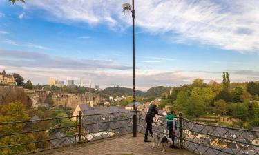 Penerbangan dari Porto ke Luxembourg