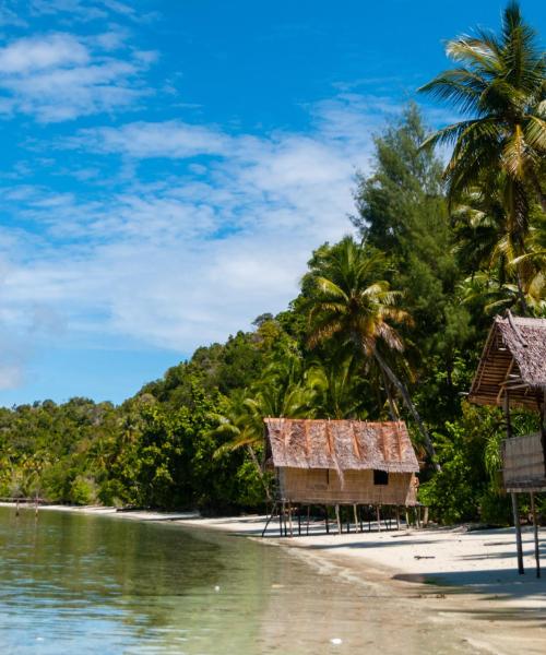 Unes vistes boniques de Papua Nova Guinea