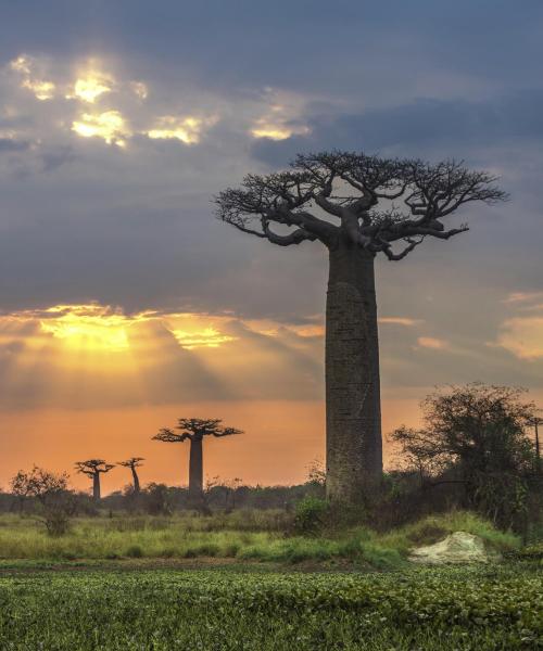 Una bellissima vista del Madagascar