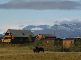 Árnanes Country Hotel, hotel en Höfn