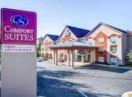 Comfort Suites Northside Hospital Gwinnett，勞倫斯維爾的飯店