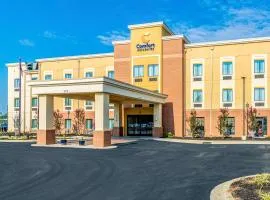 Comfort Inn & Suites, hotel a Rock Hill