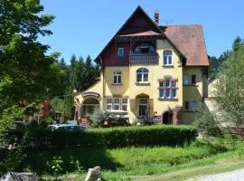 Hotel Dammenmühle, hotel en Lahr