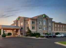 Holiday Inn Express Hotel & Suites Saginaw, an IHG Hotel, hotel in Saginaw