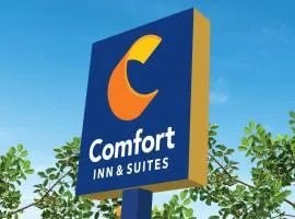 Comfort Inn & Suites, hotel v mestu Texas City