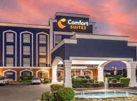 Comfort Suites Olive Branch - Memphis South, hotelli kohteessa Olive Branch