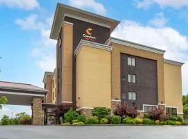 Comfort Suites, hótel í Kingsport