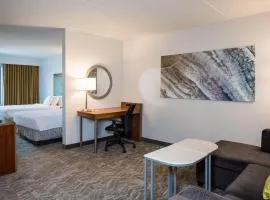 SpringHill Suites Hampton, hotelli kohteessa Hampton