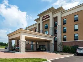 Hampton Inn & Suites Wixom/Novi/Detroit, Mi, מלון בWixom