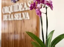 Orquídeas De La Selva, hotel v destinaci Puerto Iguazú