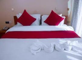 Aves Executive Hotel, hotel in Arusha