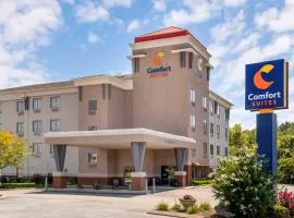 Comfort Suites, hotel din Elizabethtown