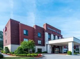 SpringHill Suites Statesboro University Area, hotel v destinaci Statesboro