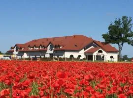 Hotel Dwór Galicja – hotel w mieście Stalowa Wola