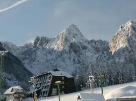 Hotel Alpina, hotel in Kranjska Gora