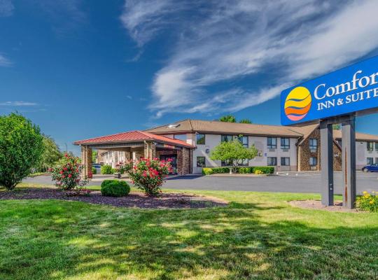 Comfort Inn & Suites, hotelli kohteessa West Springfield