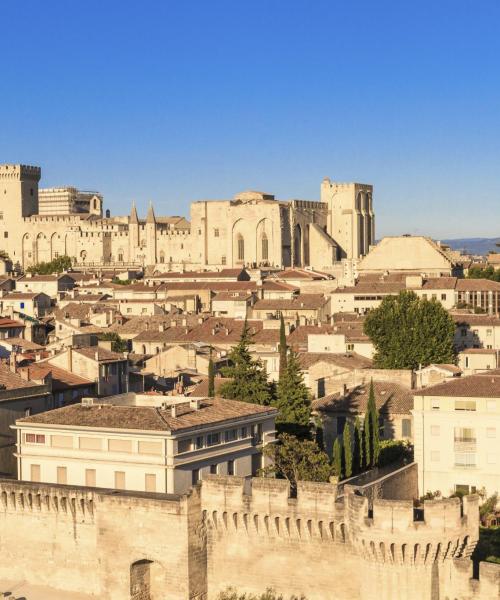 Eine der meistbesuchten Sehenswürdigkeiten in Avignon.