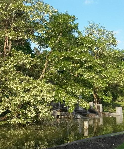 Un dels llocs d'interès més visitats a Charenton-le-Pont.