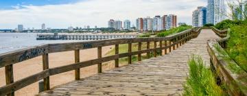 飞往Punta del Este and Vicinity的航班