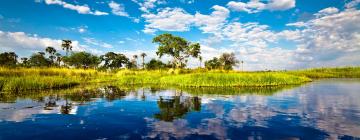 Fly til Okavango Delta