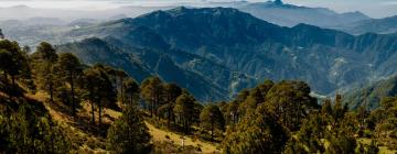 Flug á áfangastaðinn Quetzaltenango